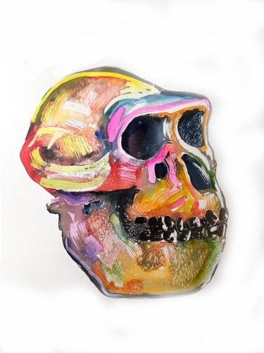 Neanderthal Skull