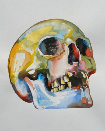 Gold Tooth Skull