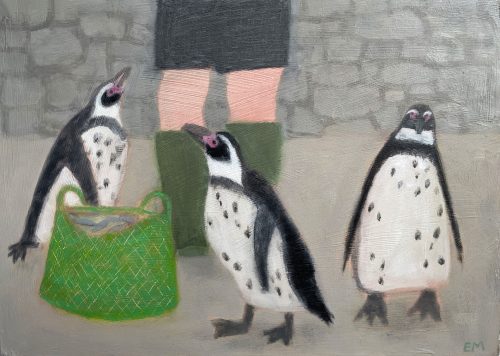 Hora de alimentar a los pingüinos de Humboldt en Paradise Park ll