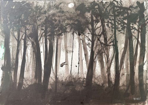 Goshawk in the Forest